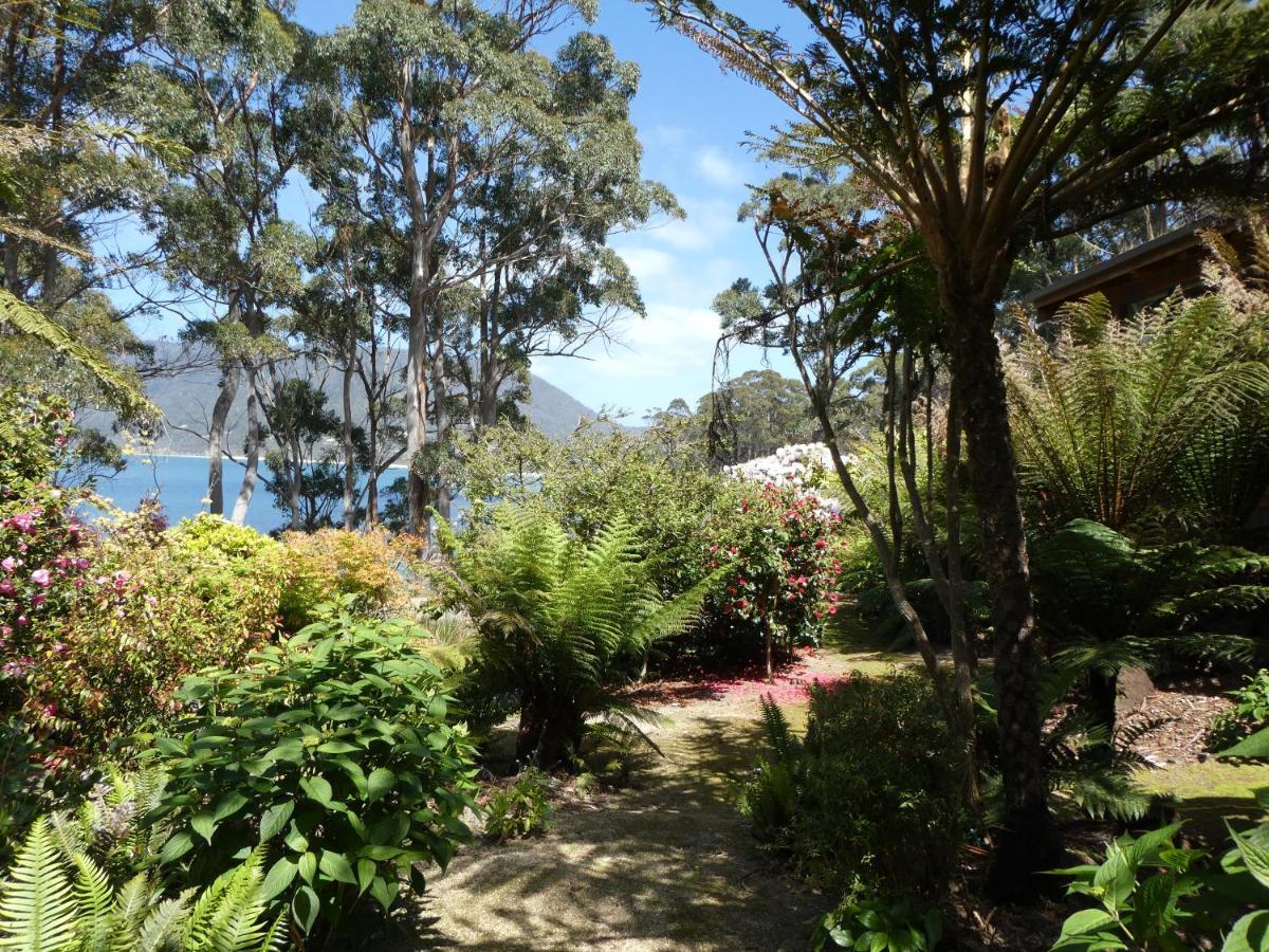 Osprey Lodge & Bungalow Eaglehawk Neck Extérieur photo