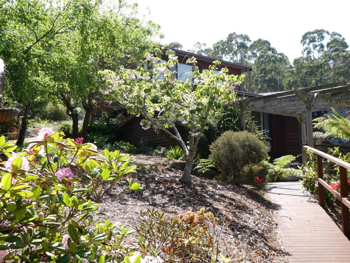 Osprey Lodge & Bungalow Eaglehawk Neck Extérieur photo